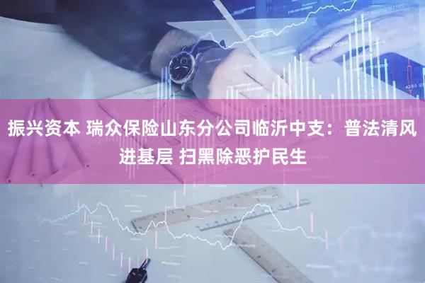 振兴资本 瑞众保险山东分公司临沂中支：普法清风进基层 扫黑除恶护民生
